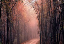 斯基拉:伊卡尔迪收到沙特3年共7500万欧报价,但首选留在欧洲,伊卡尔迪进球