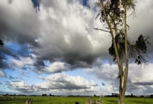 斯基拉:伊卡尔迪收到沙特3年共7500万欧报价,但首选留在欧洲,伊卡尔迪进球