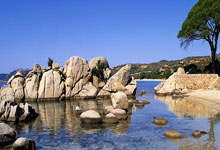 布莱顿大比分击败对手，提振信心