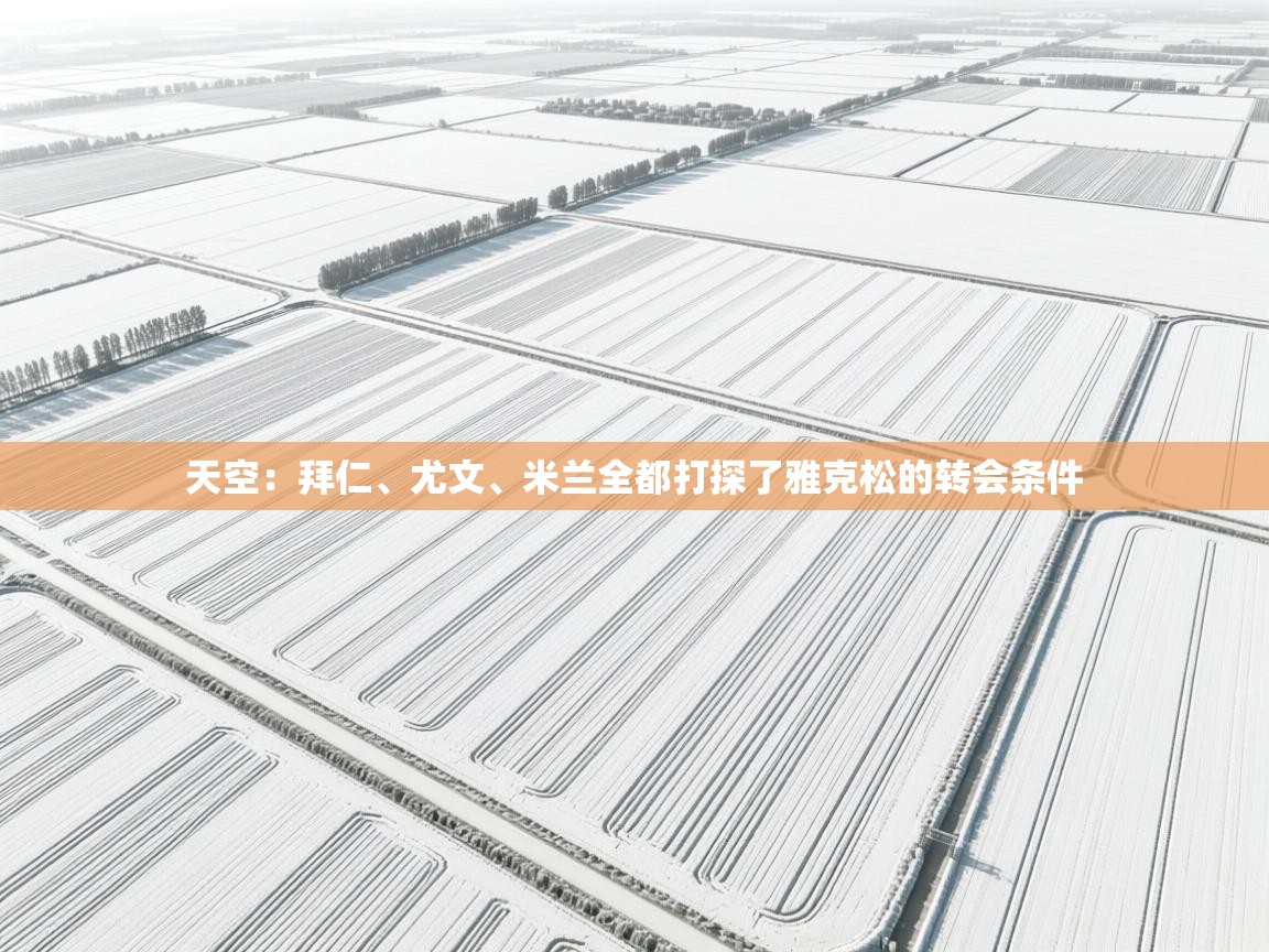 天空：拜仁、尤文、米兰全都打探了雅克松的转会条件  第1张