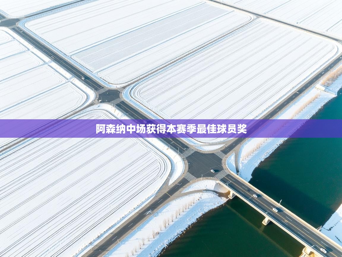 阿森纳中场获得本赛季最佳球员奖