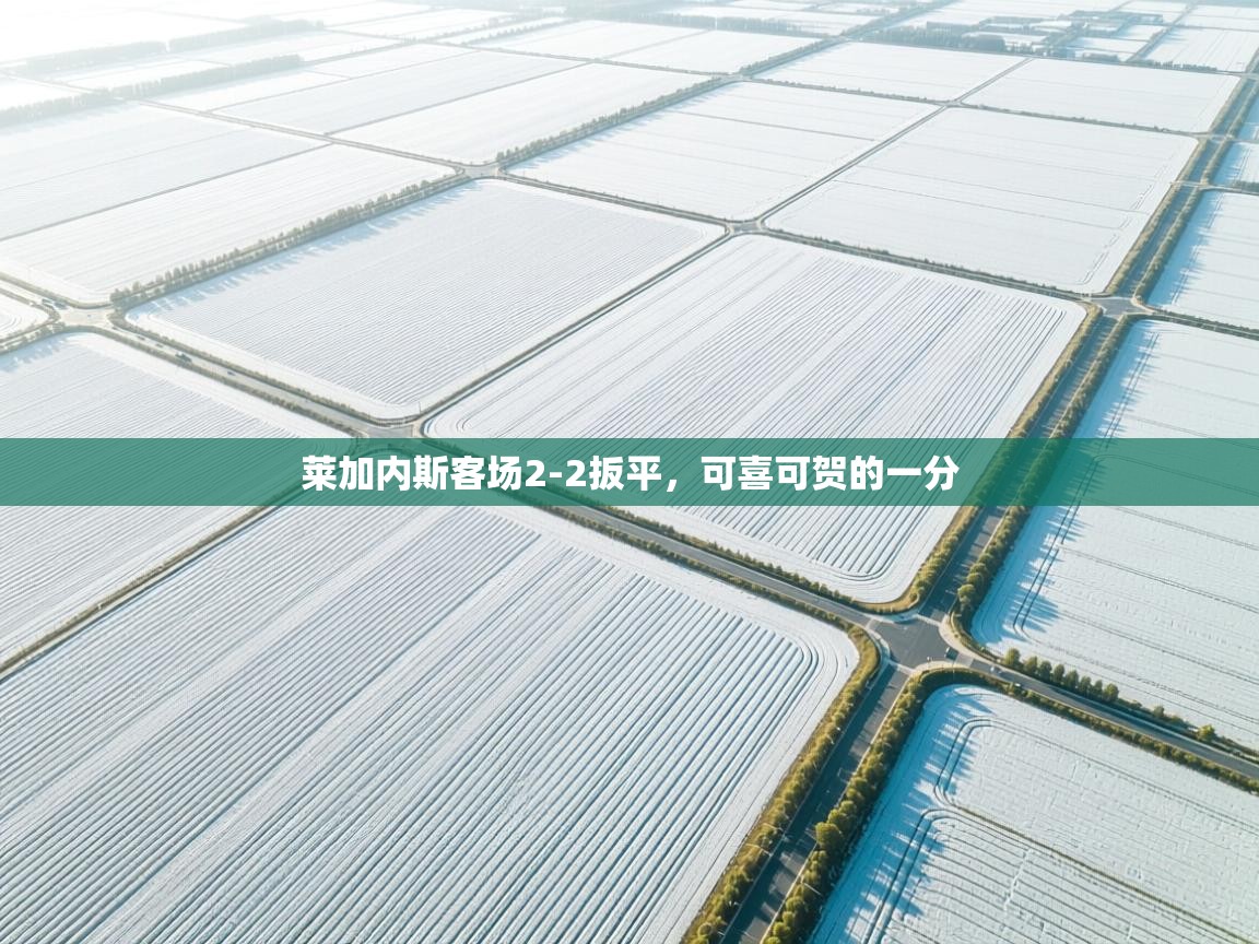 莱加内斯客场2-2扳平，可喜可贺的一分  第1张