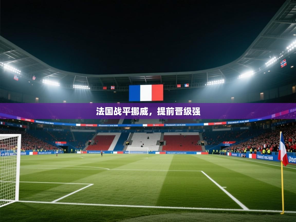 法国战平挪威，提前晋级强  第2张